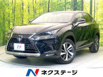 LEXUS NX300