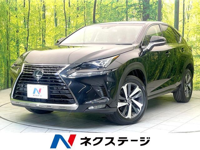 LEXUS NX300