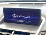LEXUS NX300