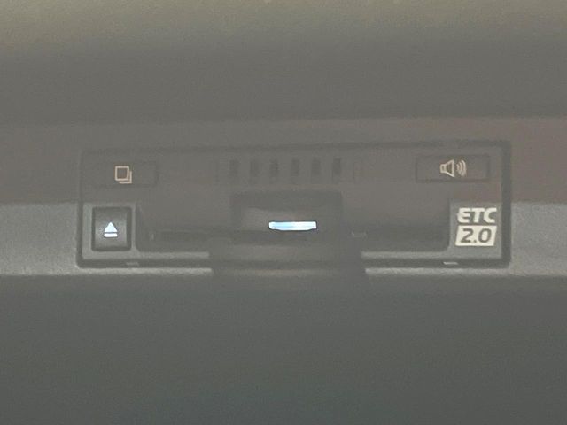 LEXUS NX300