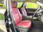 LEXUS NX300