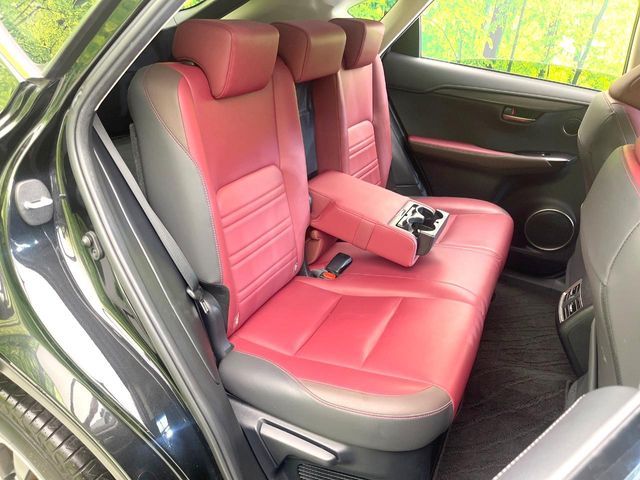 LEXUS NX300
