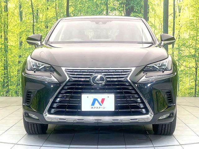 LEXUS NX300