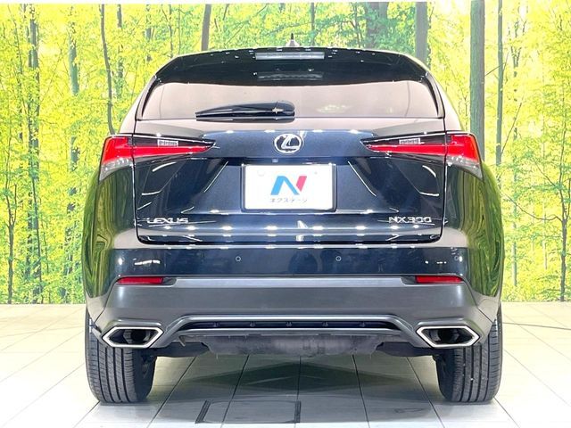 LEXUS NX300