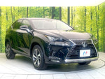 LEXUS NX300