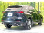 LEXUS NX300