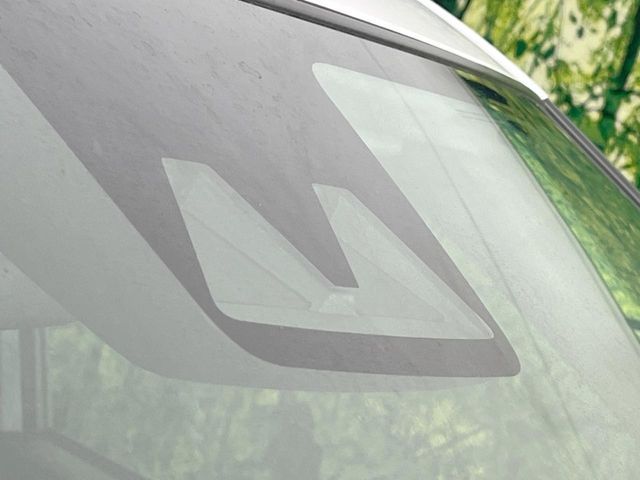 RAIZE HYBRID