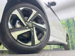 RAIZE HYBRID