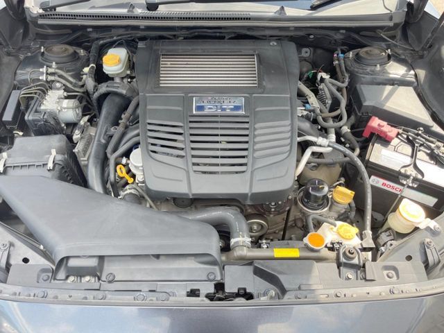 LEVORG