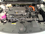 CROWN SPORT