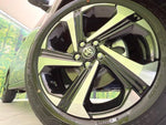RAIZE HYBRID