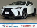LEXUS UX250h