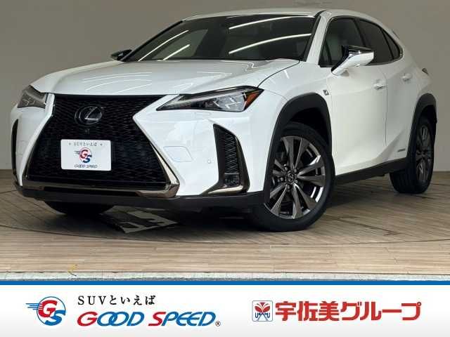 LEXUS UX250h
