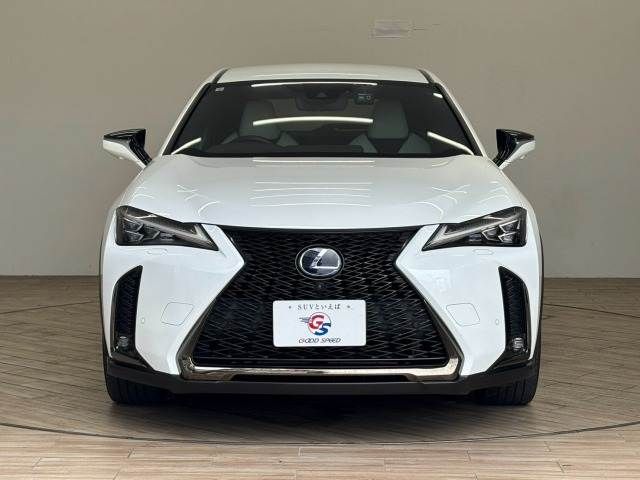 LEXUS UX250h