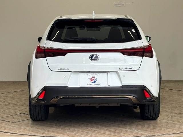 LEXUS UX250h