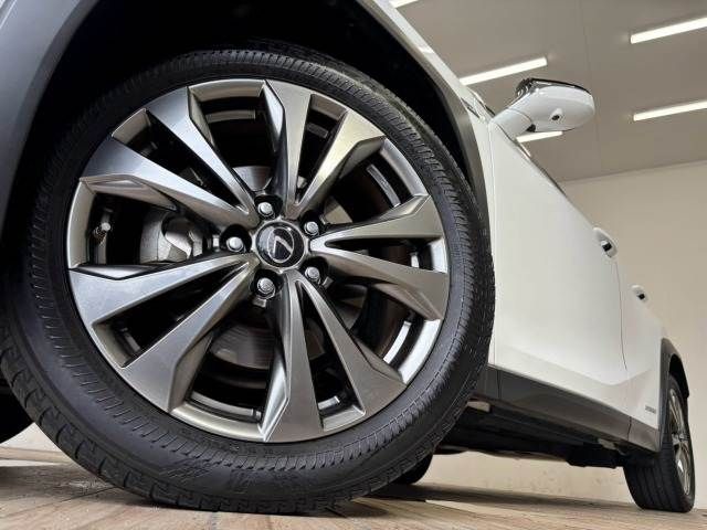 LEXUS UX250h