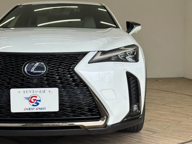 LEXUS UX250h