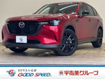 CX-60