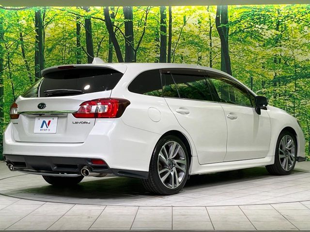 LEVORG