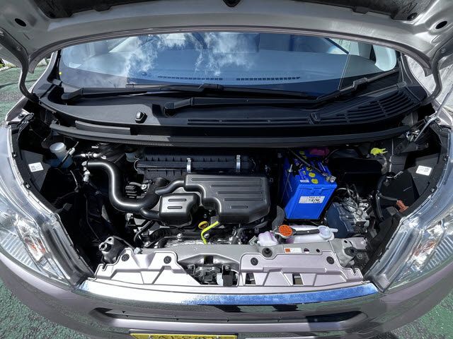 STELLA 4WD