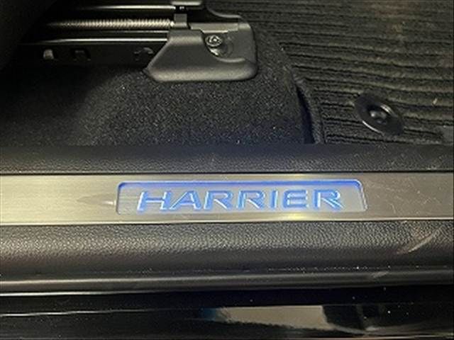 HARRIER HYBRID