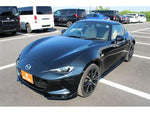 ROADSTER RF