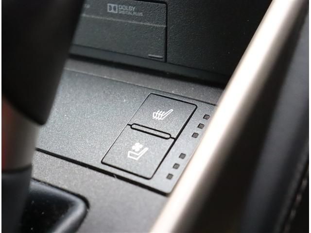 LEXUS IS300h