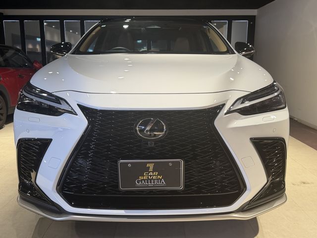 LEXUS NX350h AWD