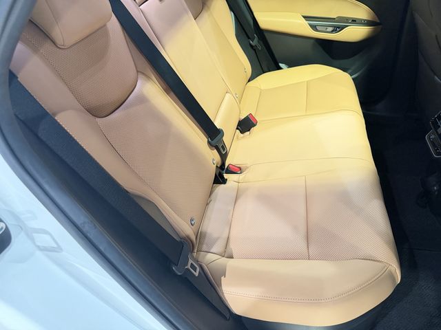 LEXUS NX350h AWD