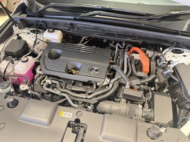 LEXUS NX350h AWD