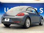 VOLKSWAGEN The BEETLE