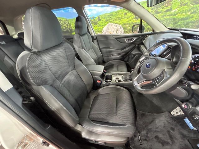 FORESTER