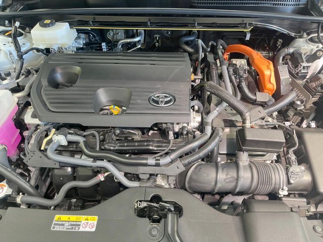 CROWN SPORT