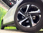 RAIZE HYBRID