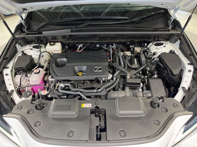 LEXUS NX350h