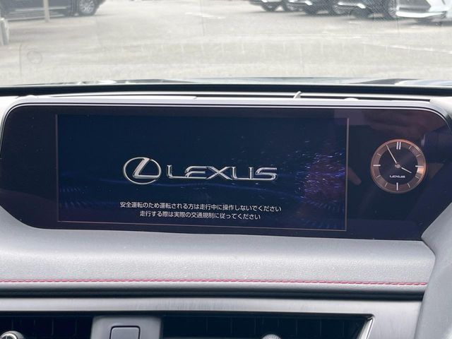 LEXUS UX250h