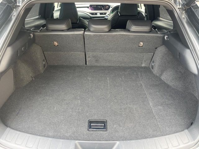 LEXUS UX250h