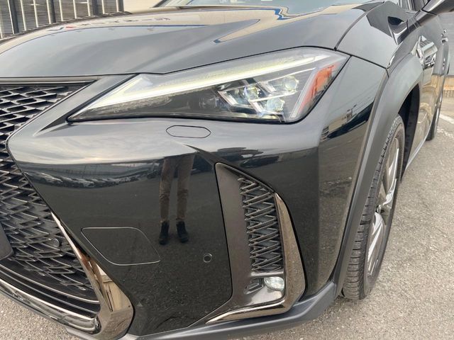 LEXUS UX250h