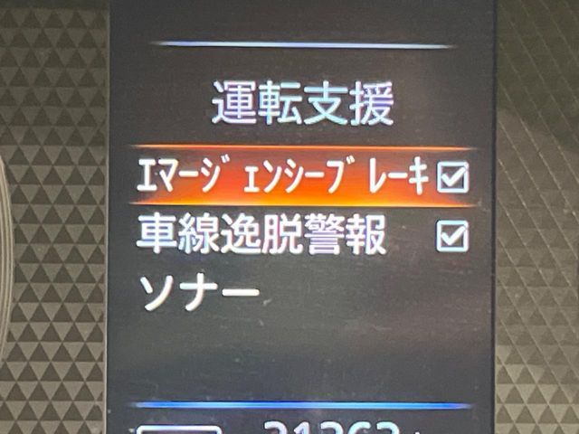 DAYZ