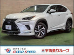 LEXUS NX300h