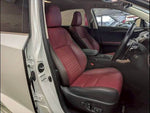 LEXUS NX300h