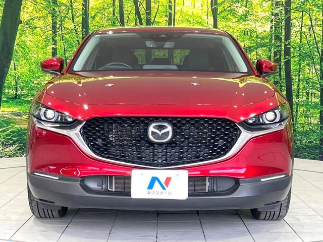 CX-30