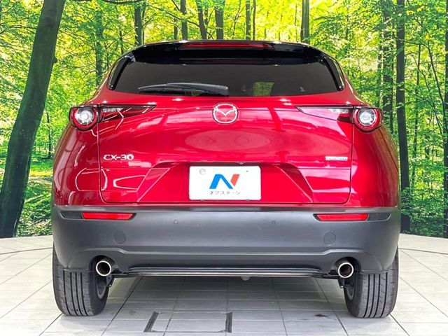 CX-30