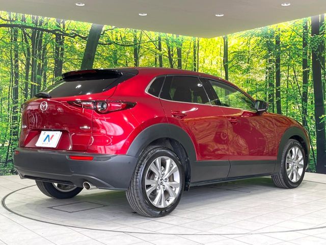 CX-30