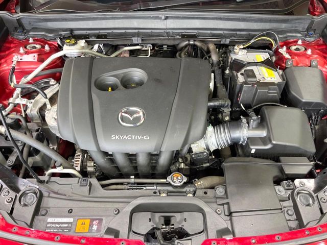 CX-30