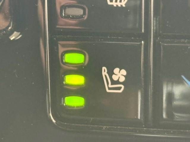 LEXUS RX500h