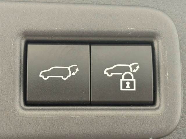 LEXUS RX500h