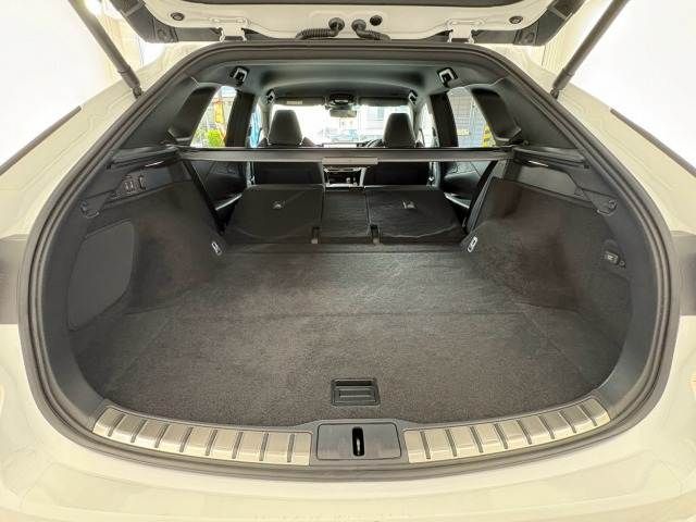 LEXUS RX500h