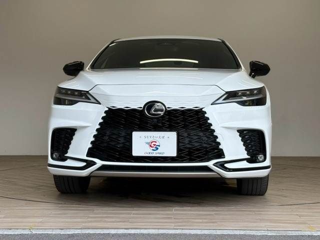 LEXUS RX500h