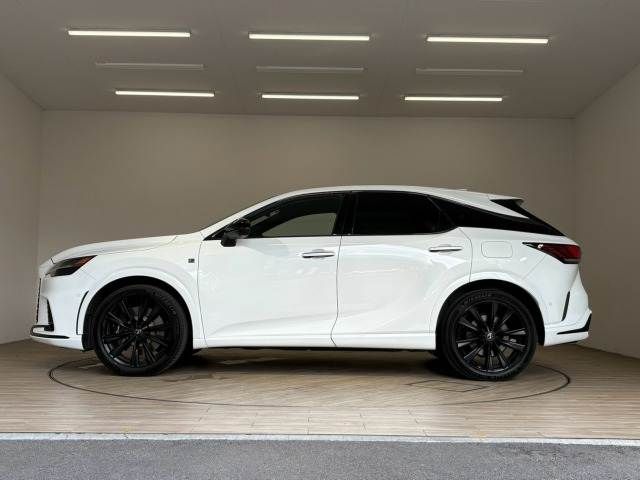 LEXUS RX500h